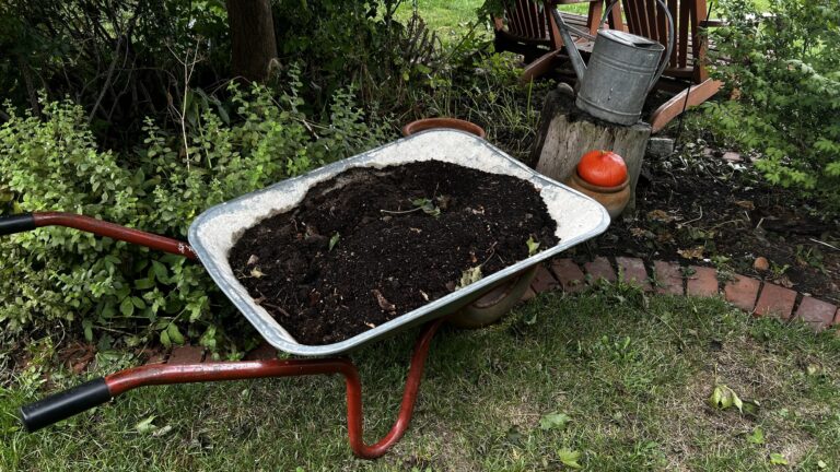 Der pH-Wert im Gartenboden.