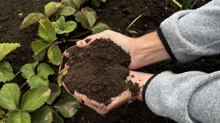 Nicht alles, was im Boden lebt, verdirbt die Ernte
