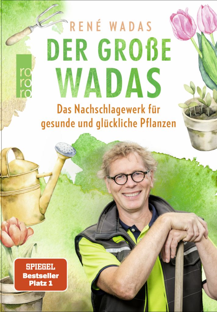 der große Wadas 